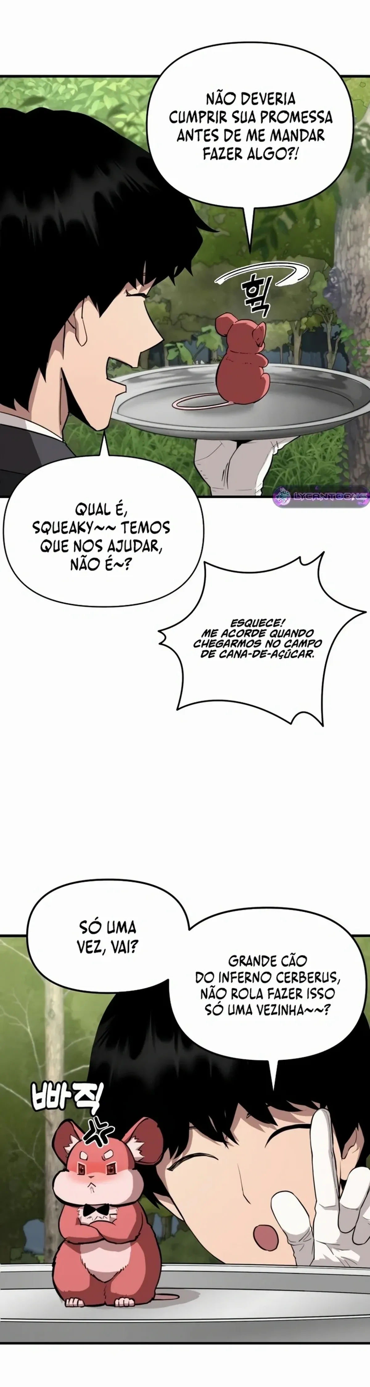 Página 17