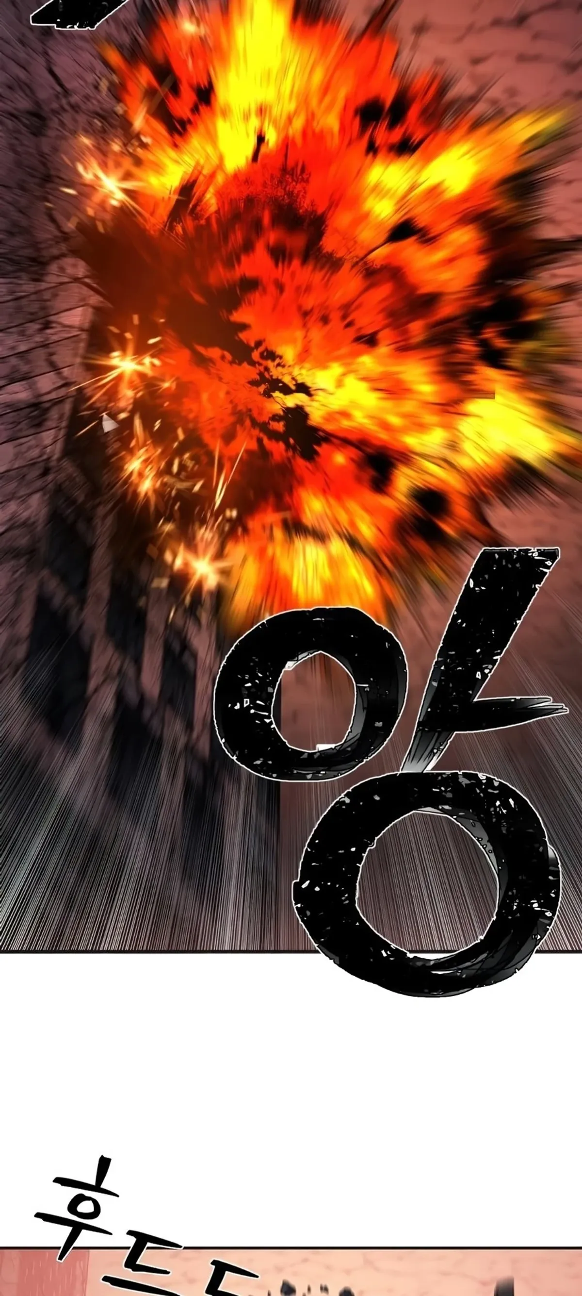 Página 81