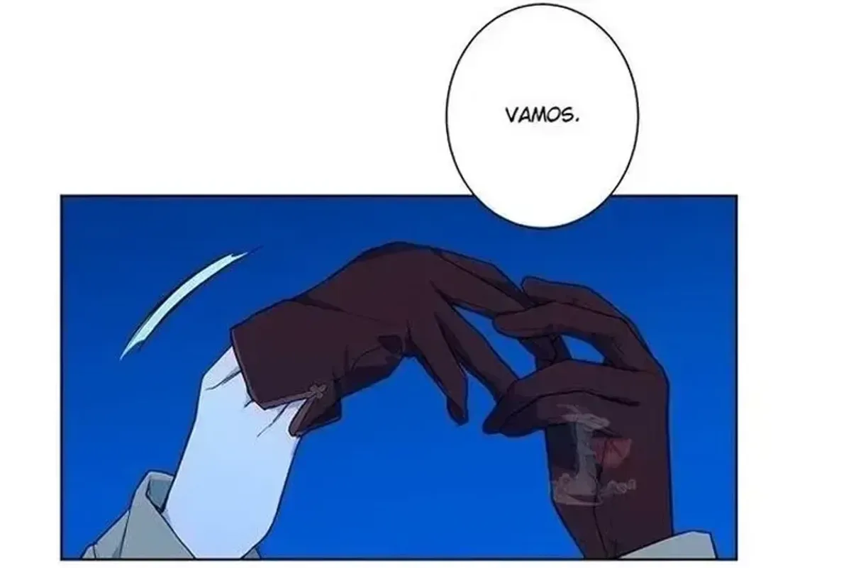 Página 41