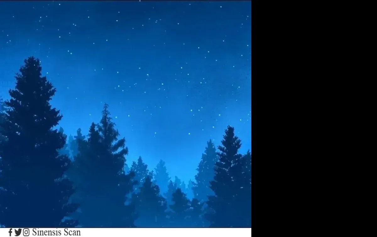 Página 37