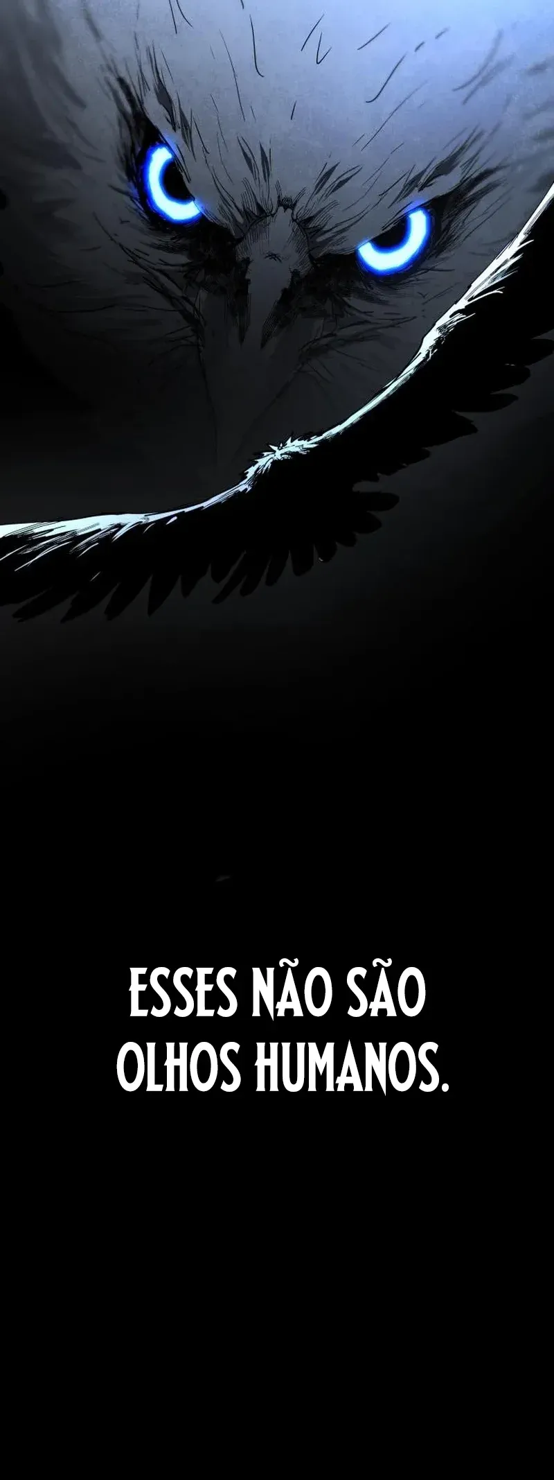 Página 46