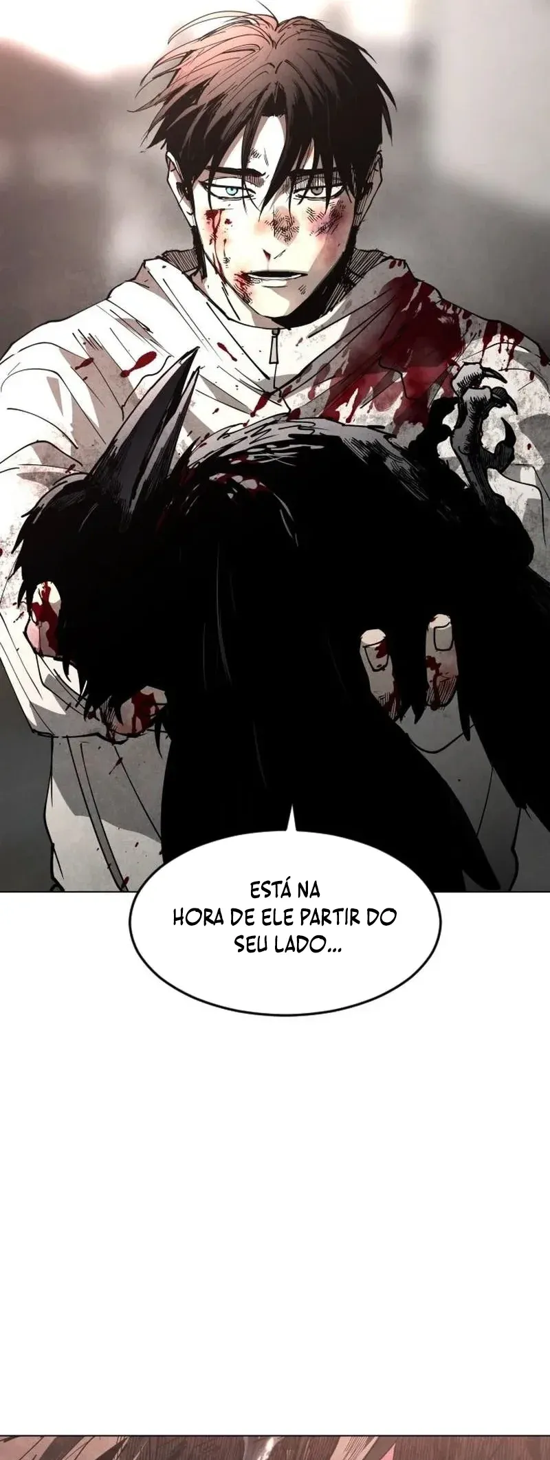 Página 43