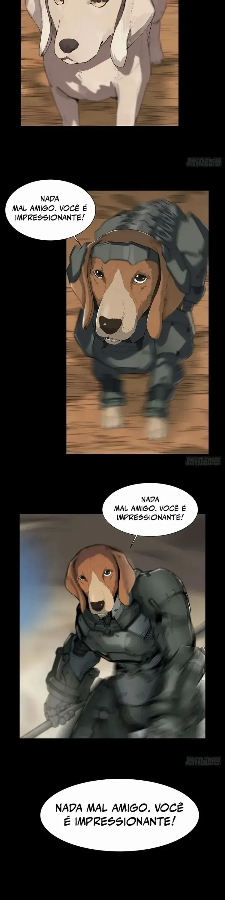 Página 5