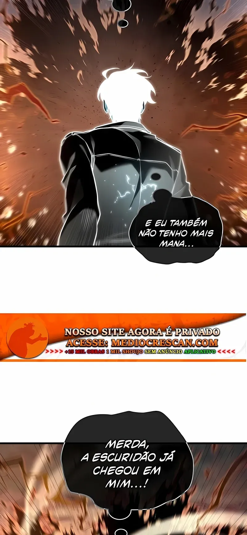 Página 113