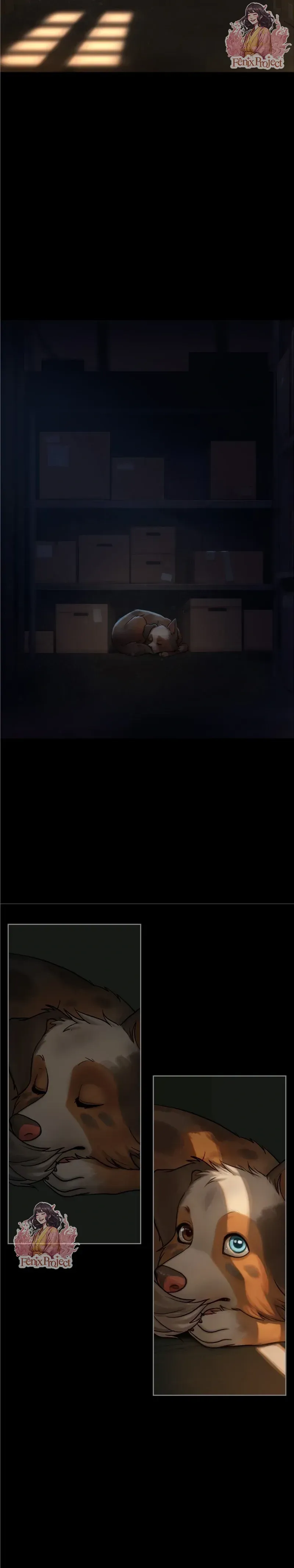 Página 7