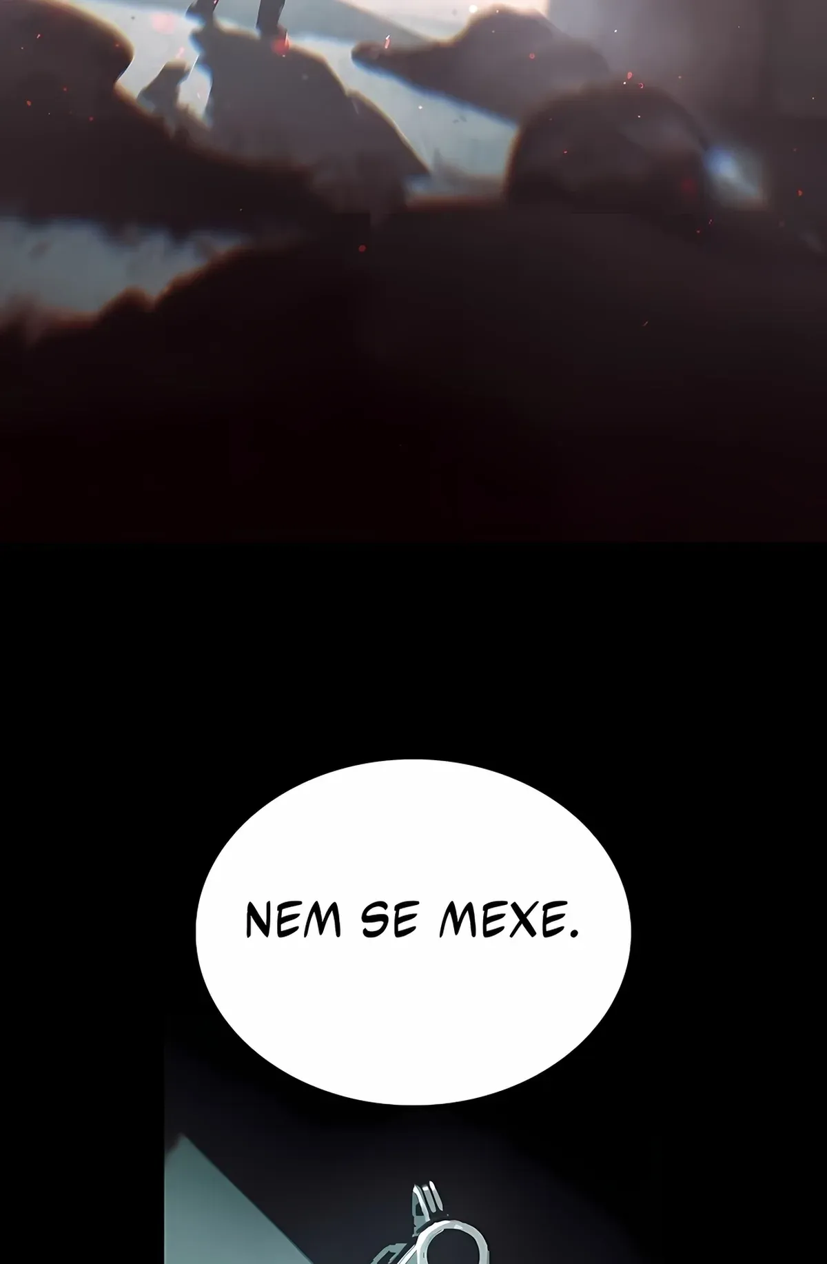 Página 113
