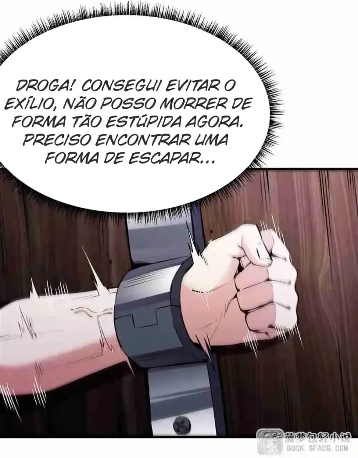 Página 21