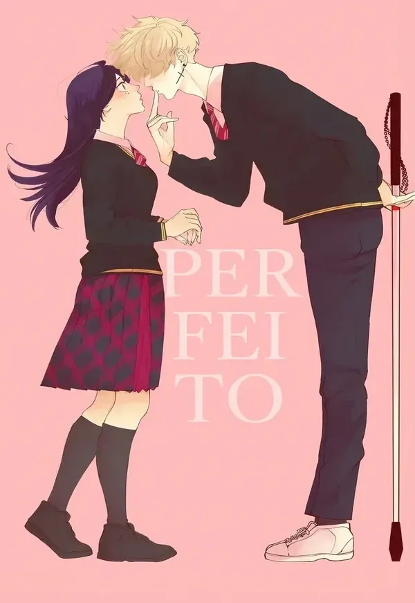 Capa de Perfeito